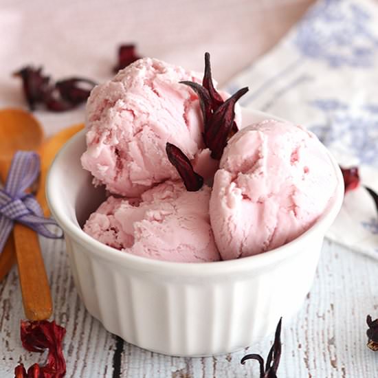 Hibiscus Frozen Yogurt
