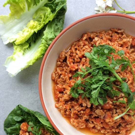 Instant Pot Mexican Mince