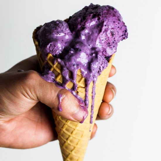 Blueberry Vegan Frozen Yogurt (gf)
