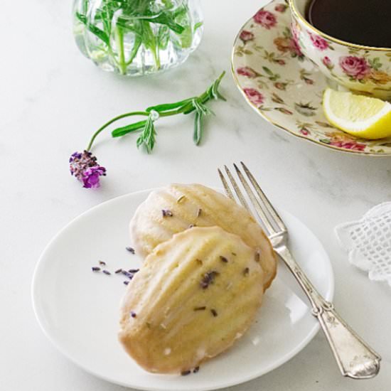 Lavender Madeleines