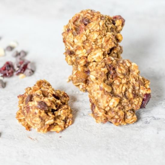 Vegan Chocolate Chip Oatmeal Cookie