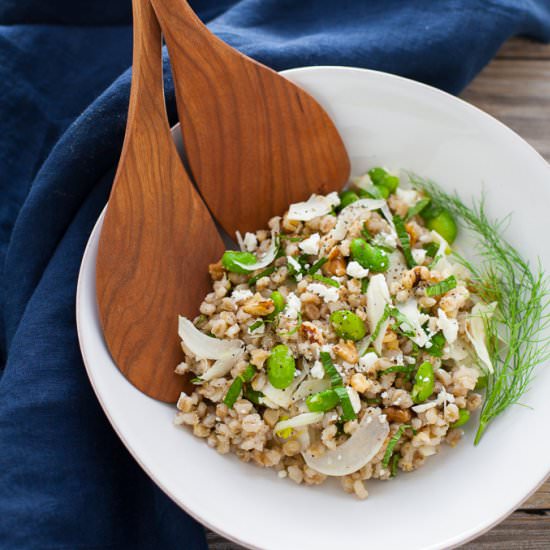 Spring Grain Salad With Fava