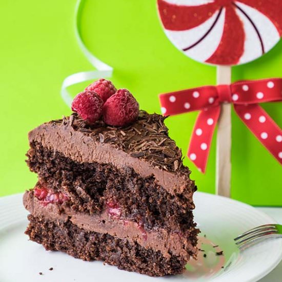 Gluten Free Vegan Chocolate Cake