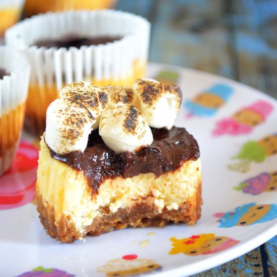 Smore’s Cheesecake Cupcakes