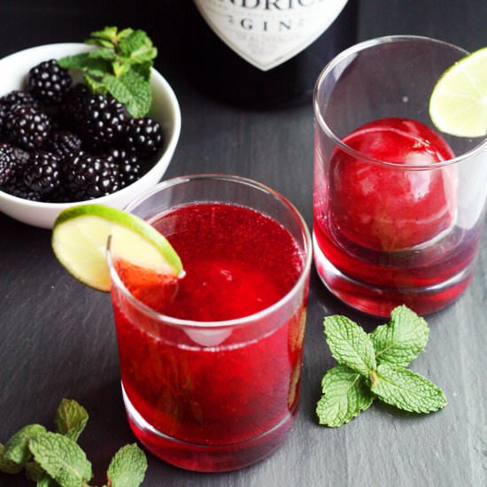 Blackberry Gin and Tonic