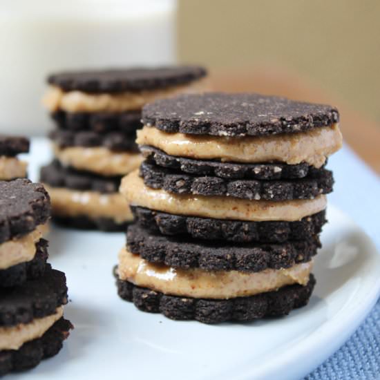 Chocolate Almond Butter Cookies