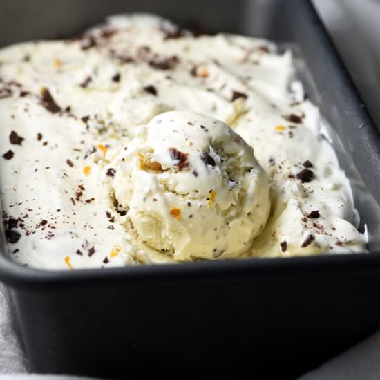 Chocolate Rum Raisin Ice Cream