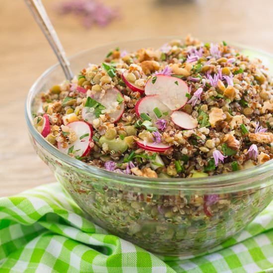 Green Lentil and Quinoa Salad