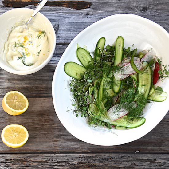 Cucumber Salad with Dill and Lemon