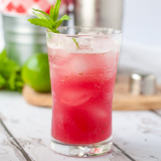 Rhubarb Mint Mojito