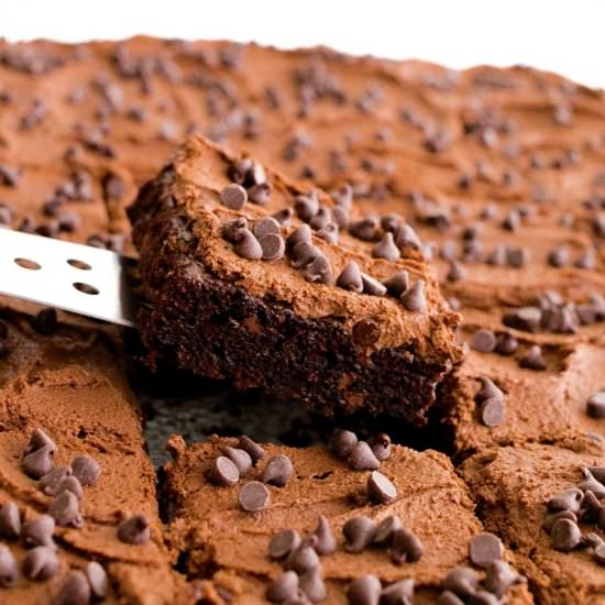 Chocolate Chocolate Chip Sheet Cake