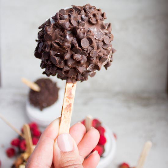 Homemade Ice Cream Pops