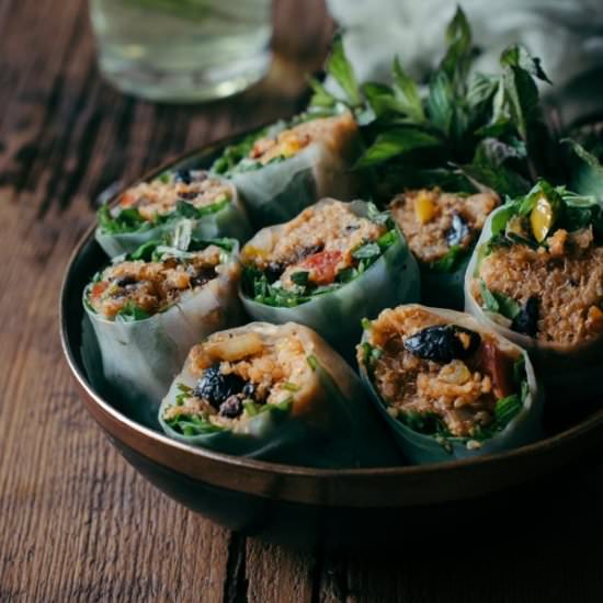 Quinoa Spring Rolls