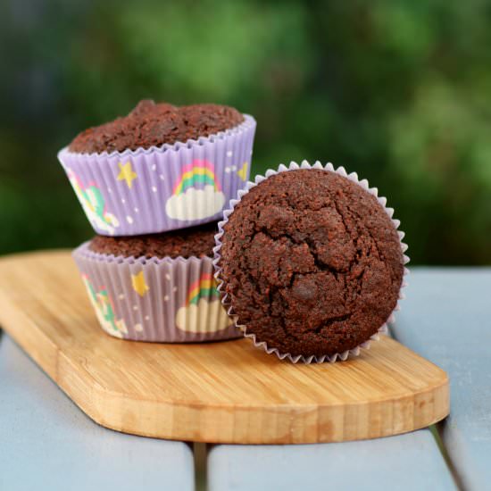 Paleo Double Chocolate Muffins