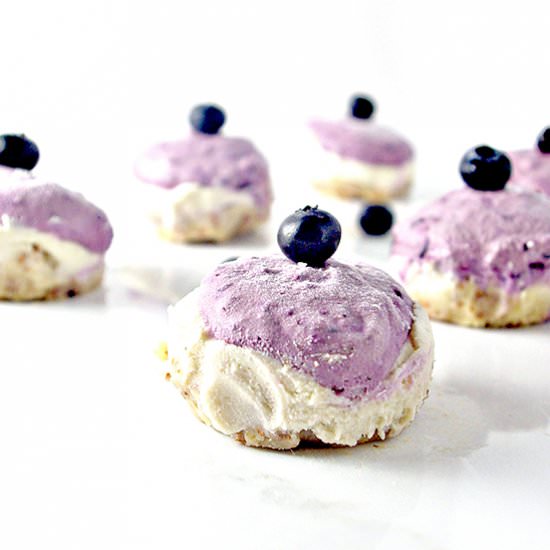 Vegan Blueberry Lime Cheesecakes