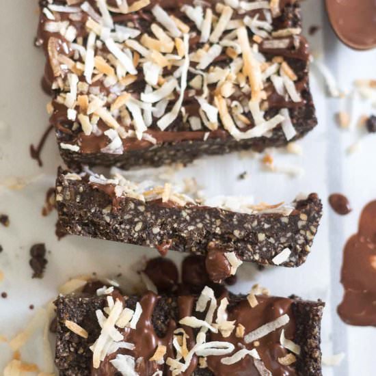 Dark Chocolate Coconut Protein Bars