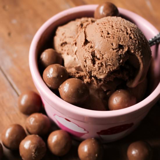 Malted Chocolate Ice Cream