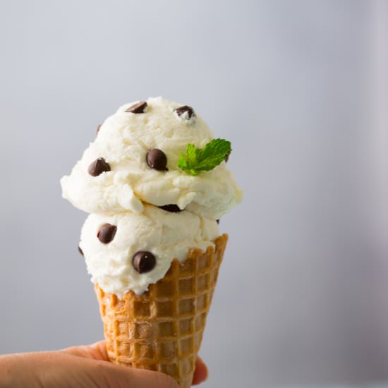 Mint Chocolate Chip Ice Cream