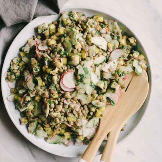 Summer Lentil Salad