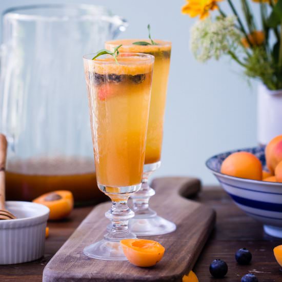 Blueberry Apricot Shrub