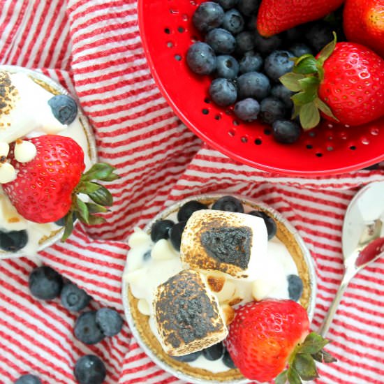 Mini Berry S’mores Sundaes