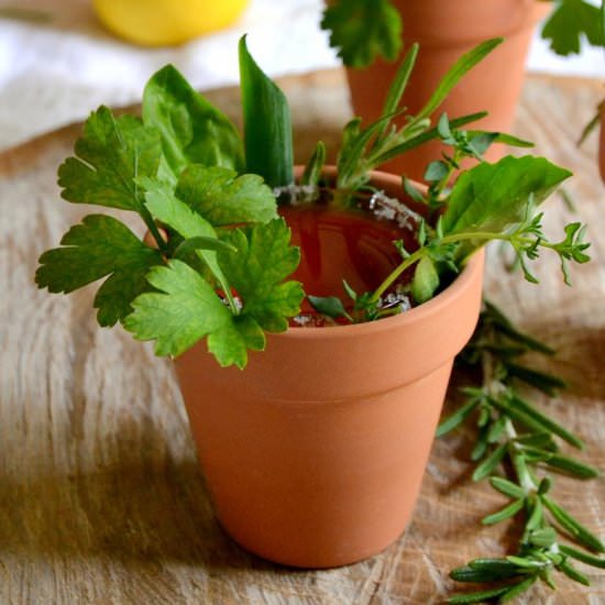 Garden Party Bloody Mary Shooters