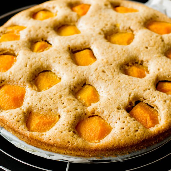 Apricot Speculoos Cake