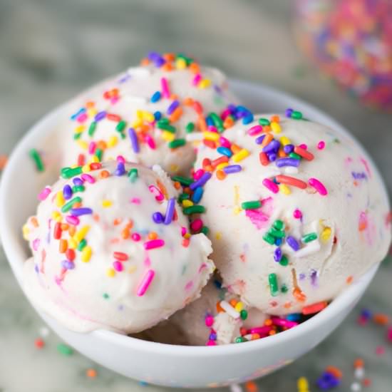 Homemade Cake Batter Frozen Yogurt