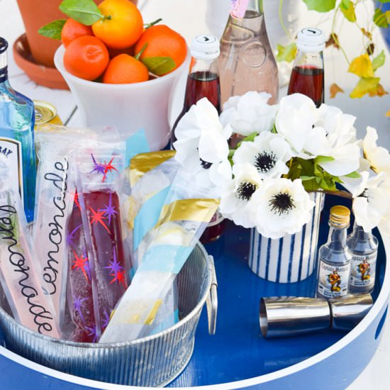 DIY Cocktail Freezies