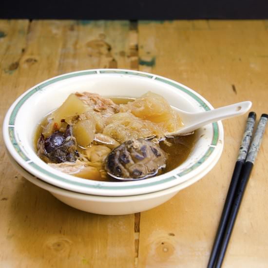 Shark Melon Chicken Soup