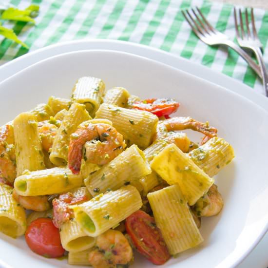 Rigatoni w/ Garlic Butter Shrimp