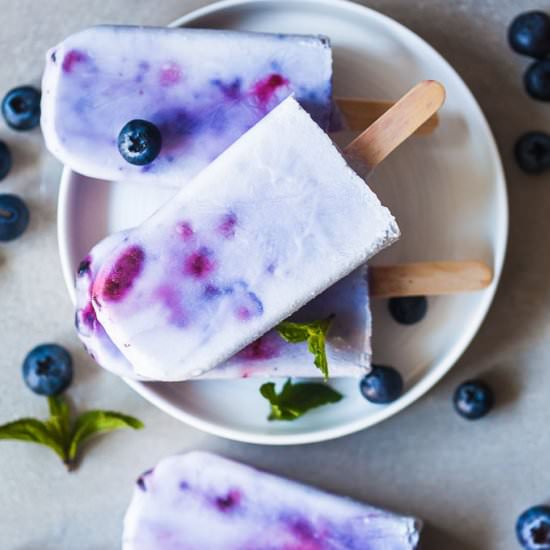 Paleo Coconut Blueberry Popsicles