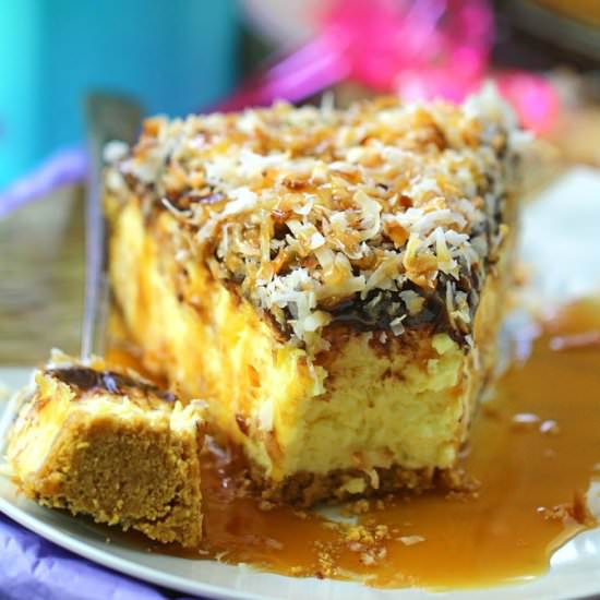 No Bake Samoa Cheesecake