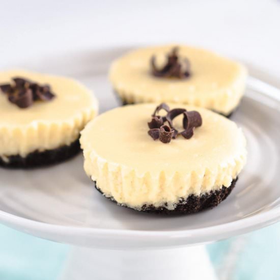 Chocolate Baileys Mini Cheesecakes