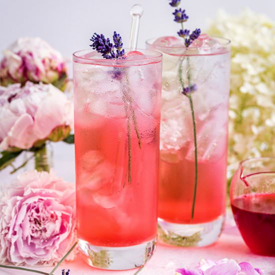 Blackberry Lavender Gin and Tonic