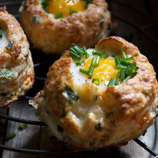 Cheddar Chive and Egg Biscuits