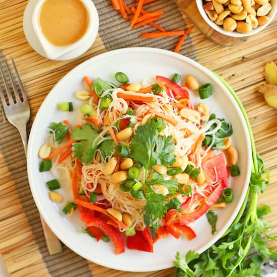 Asian Vermicelli Noodle Salad