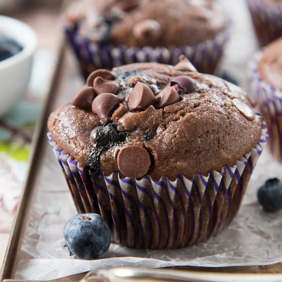 Double Chocolate Blueberry Muffins