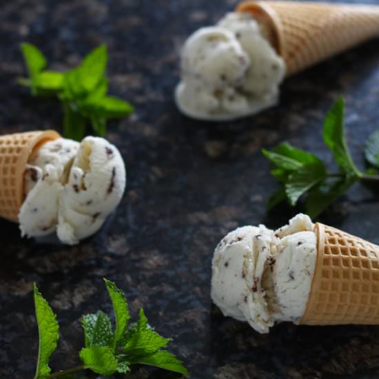 Backyard Mint Ice Cream