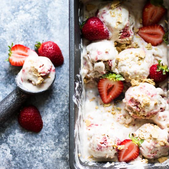 Strawberry Rhubarb “Nice Cream”
