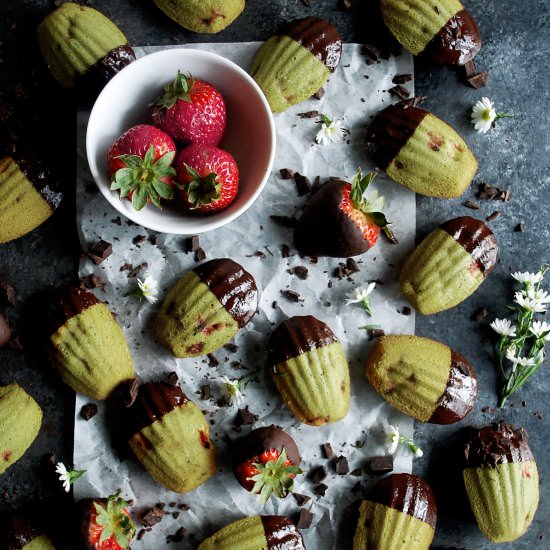 Strawberry Matcha Madeleines