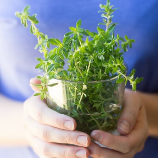 How to Dry Herbs in the Microwave