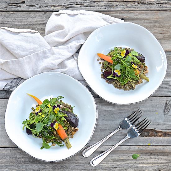 Lentils and Vegetables Salad