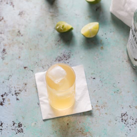Homemade Tonic Syrup