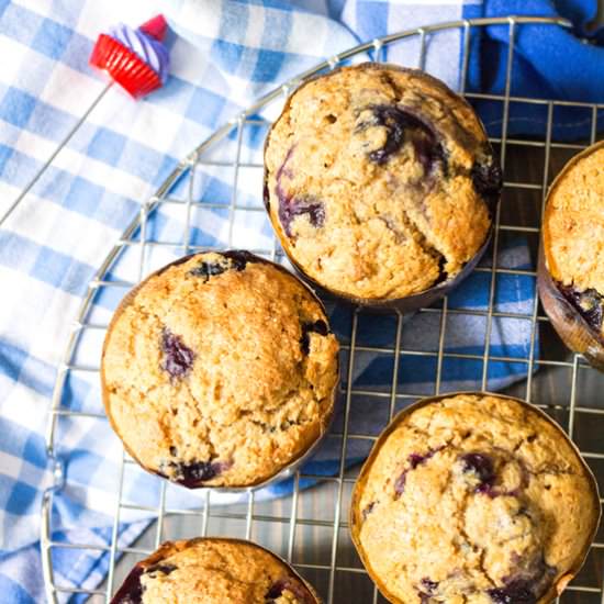 Blueberry Muffins
