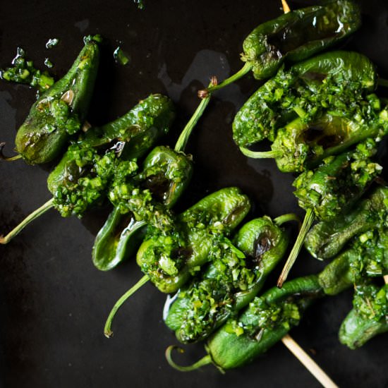 Grilled Shishito Peppers