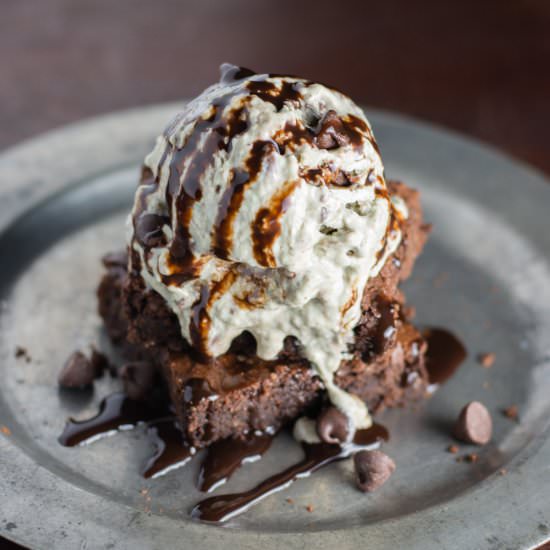 Mint Chocolate Chip Frozen Yogurt