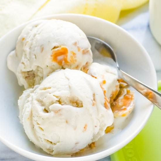 Peanut Butter Banana Ice Cream