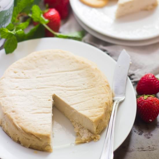 Cashew Camembert Cheese