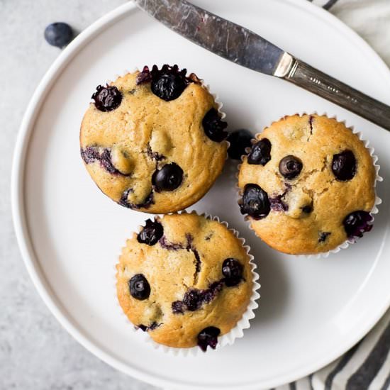 Moist Blueberry Muffins